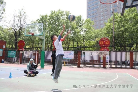初中篮球战术一周训练计划_1